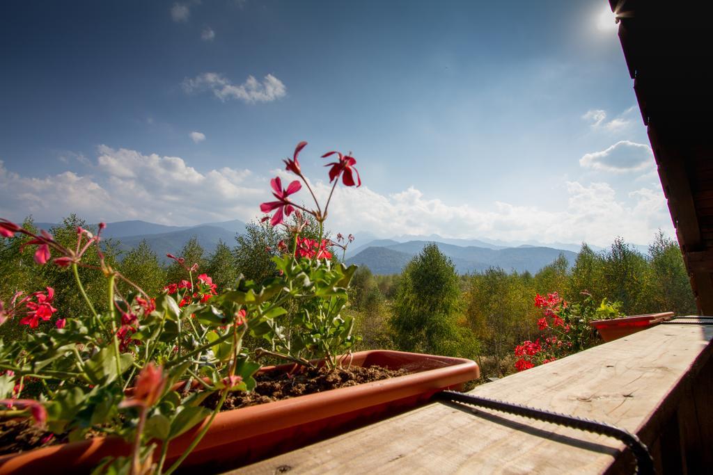 Pensiunea Royal Garden Hotel Sîmbăta de Sus Bagian luar foto